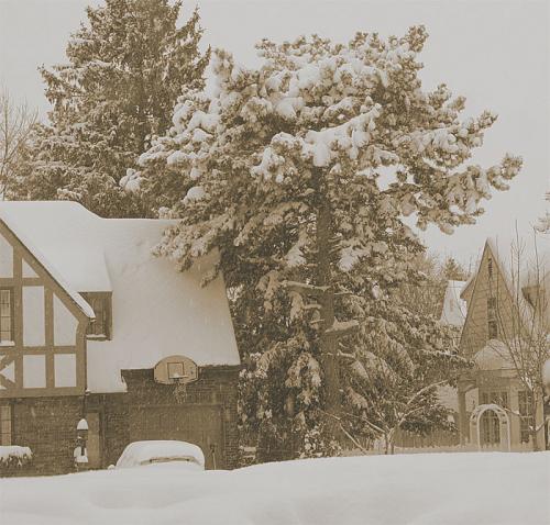 Fotos menos valoradas » Foto de JUAN JOSE EGUIZABAL - Galería: juan jose eguizabal - Fotografía: 