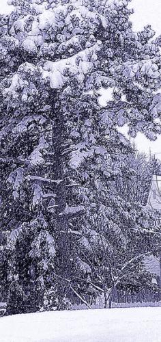 Fotos menos valoradas » Foto de JUAN JOSE EGUIZABAL - Galería: juan jose eguizabal 2 - Fotografía: 