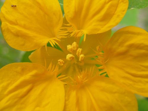 Fotos menos valoradas » Foto de Arnau Selga - Galería: Textures - Fotografía: 