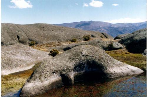 Fotos menos valoradas » Foto de MIRIAM ALEGRIA - Galería: PAISAJES - Fotografía: PECES