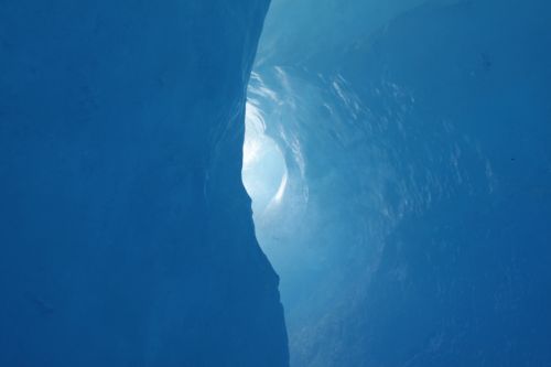 Fotos mas valoradas » Foto de Javier Sanz - Galería: Una visin intimista de la fotografia de la naturaleza - Fotografía: ms all