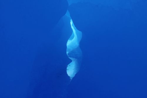 Fotos menos valoradas » Foto de Javier Sanz - Galería: Una visin intimista de la fotografia de la naturaleza - Fotografía: evasion