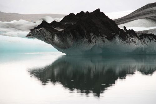 Fotos menos valoradas » Foto de Javier Sanz - Galería: Una visin intimista de la fotografia de la naturaleza - Fotografía: dragon