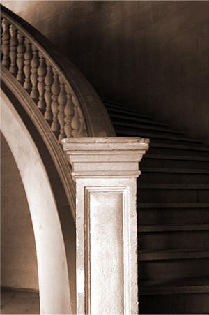 Fotos mas valoradas » Foto de Daniel Prez - Galería: Portafolio Daniel Prez - Fotografía: 