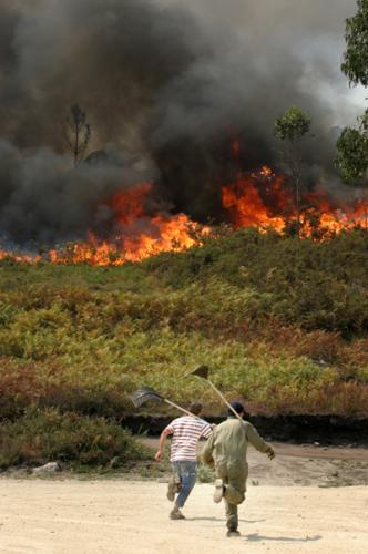 Fotos menos valoradas » Foto de pelu vidal - Galería: ARDE GALICIA - Fotografía: 2