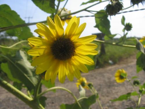 Fotos mas valoradas » Foto de Rachamateur - Galería: De todo un poco - Fotografía: 