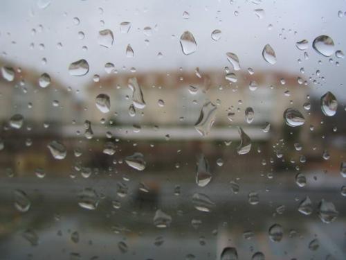 Fotos menos valoradas » Foto de Roi Taboada Vida - Galería: Memoria Visual - Fotografía: Choiva Galega